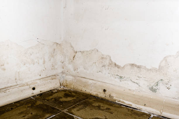 drywall repair 2 drywall repair 2