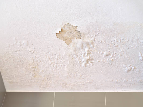 ceiling panels damaged as a moisture in the roof from rainwater leakage. ceiling panels damaged as a moisture in the roof from rainwater leakage.